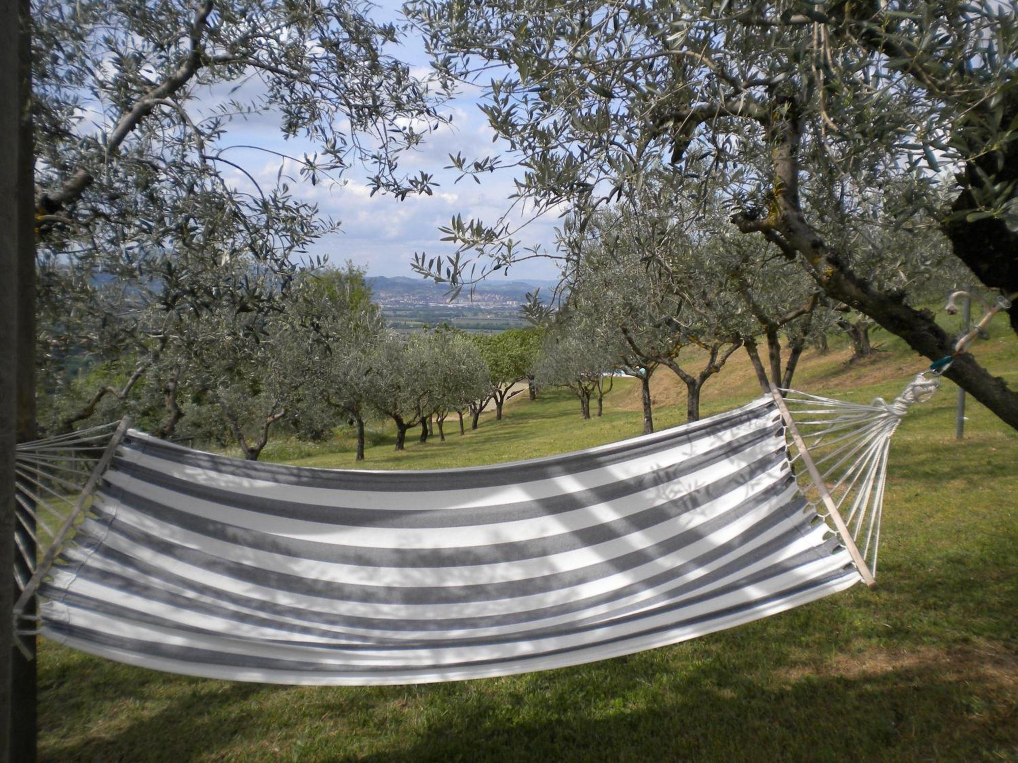 Il Poggio Delle Ginestre Guest House Torgiano Exterior photo