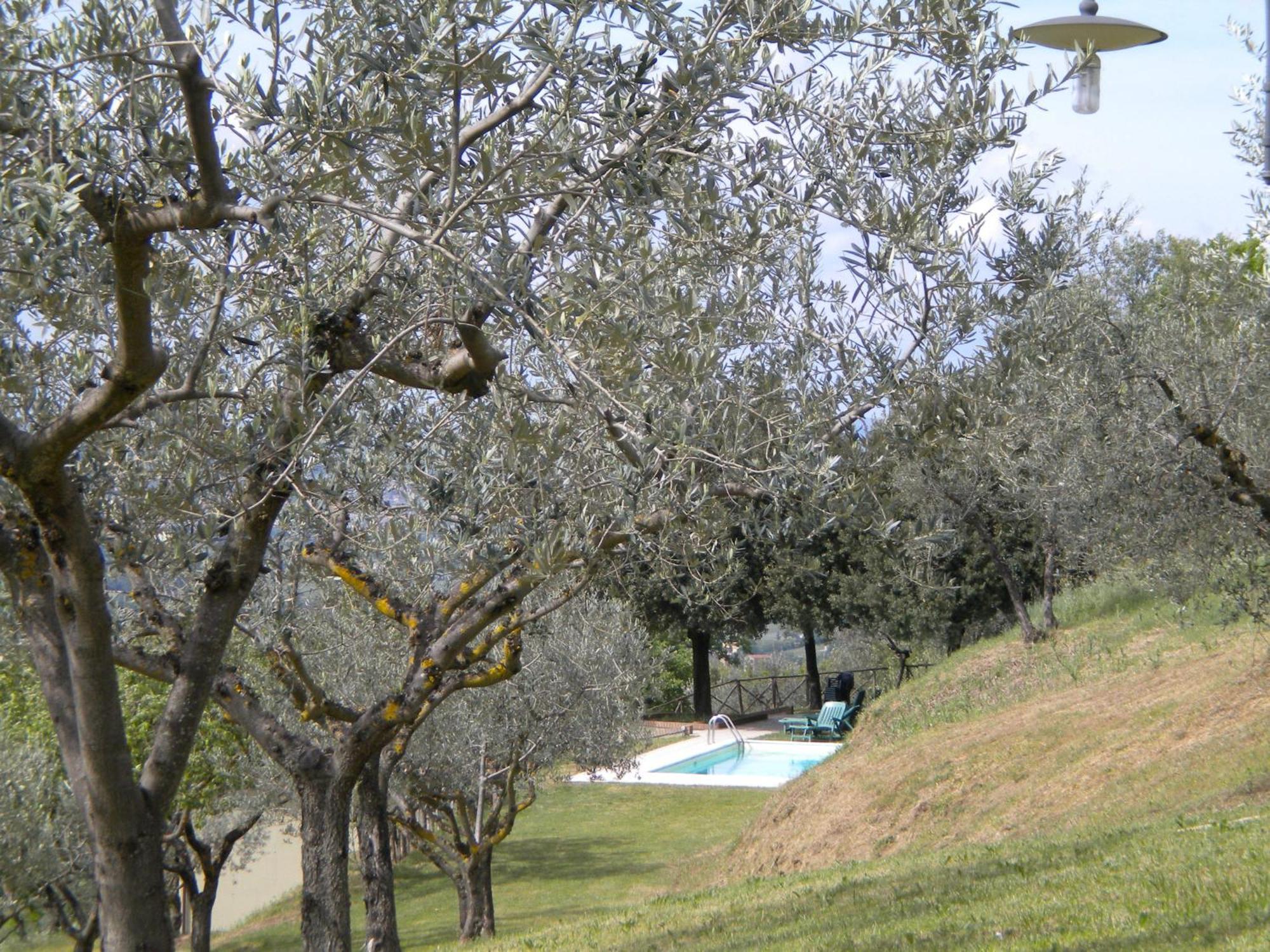 Il Poggio Delle Ginestre Guest House Torgiano Exterior photo
